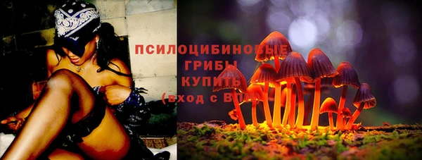 а пвп мука Гусев